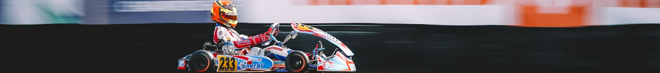 Le cv de Lucas par Le Chat